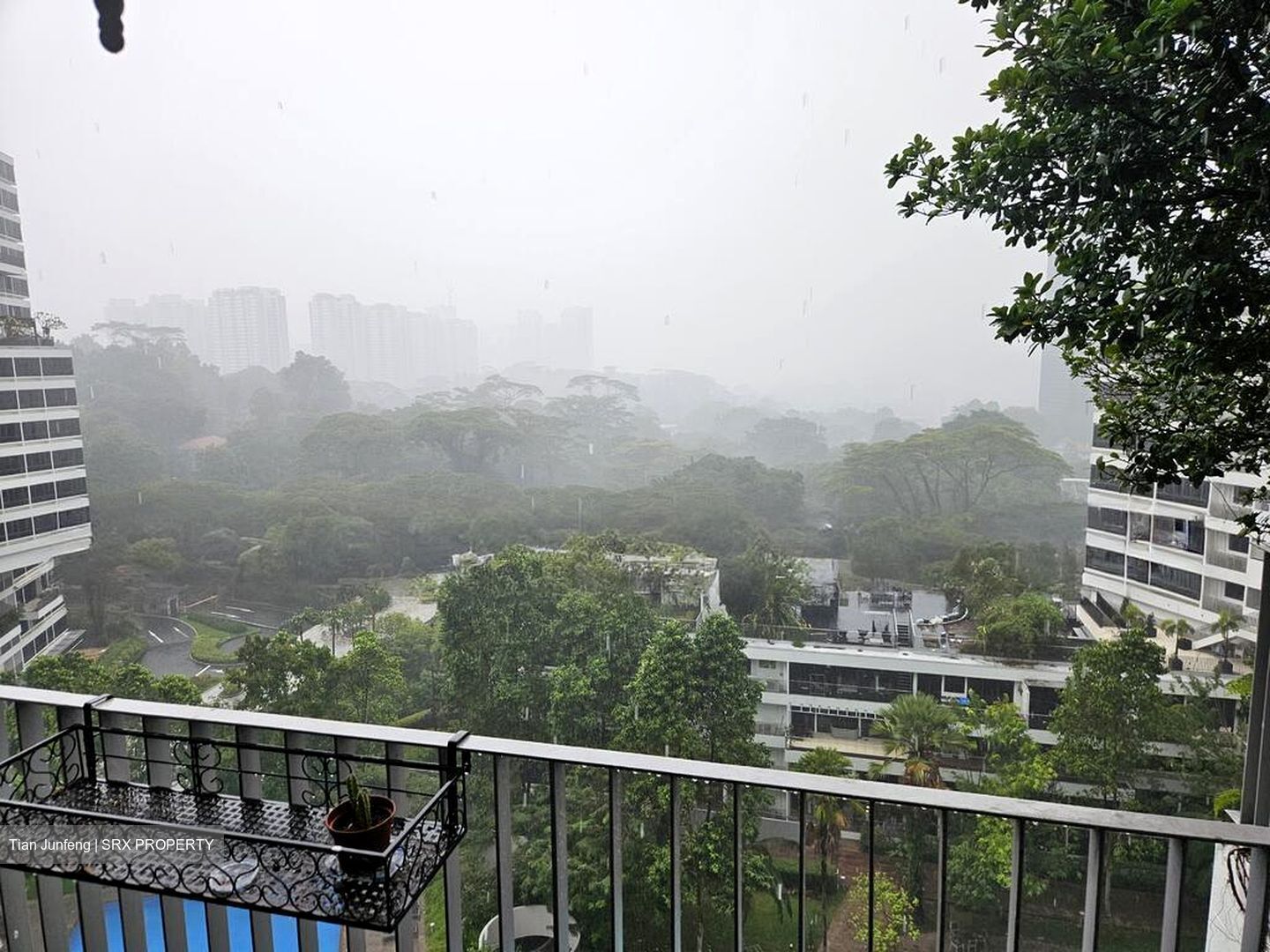 The Interlace (D4), Condominium #500245211